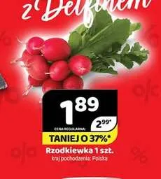 Rzodkiewka promocja w Delfin