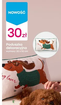 Poduszka dekoracyjna promocja w Pepco