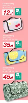 Koc piknikowy promocja w KiK