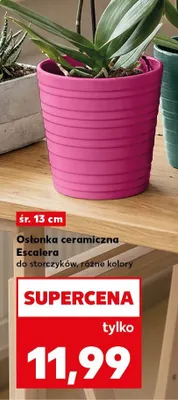 Osłonka ceramiczna Escalera do storczyków promocja w Kaufland