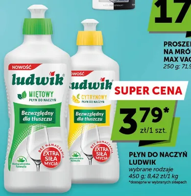 Płyn do naczyń cytrynowy Ludwik promocja w Euro Sklep