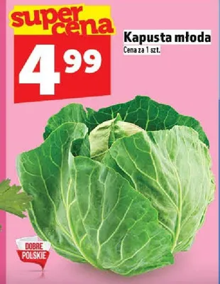 Kapusta młoda promocja w TOPAZ