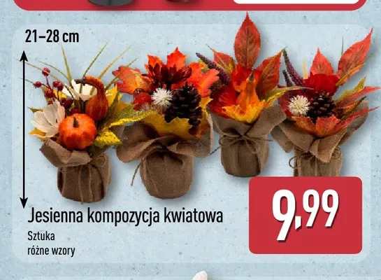 Jesienna kompozycja kwiatowa promocja w Aldi