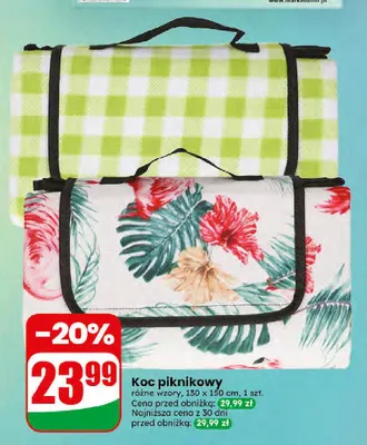 Koc piknikowy promocja w Dino