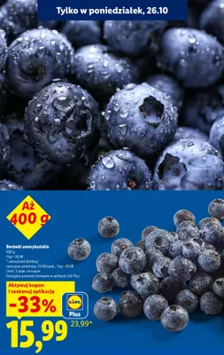 Borówki amerykańskie promocja w Lidl