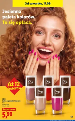 Lakier do paznokci klasyczny Cien promocja w Lidl