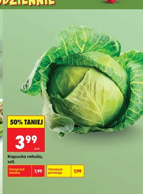 Kapusta młoda promocja w Biedronka
