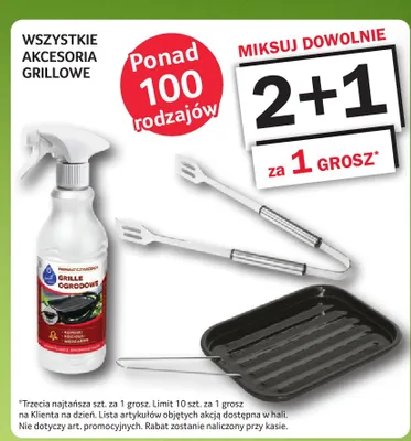 Preparat czyszczący grille ogrodowe promocja w Selgros