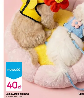 Legowisko dla psa promocja w Pepco