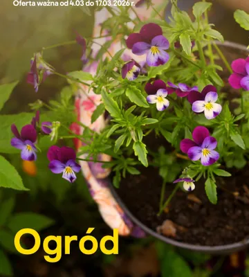 Ogród, strona 0 promocja w Castorama