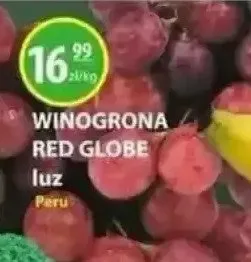 Winogrona red globe luz  promocja w Zielony Koszyk