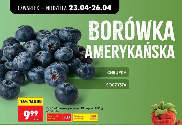Borówka amerykańska XL 150g promocja w Biedronka