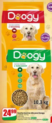 Sucha karma dla psa Doogy z wołowiną promocja w Dino