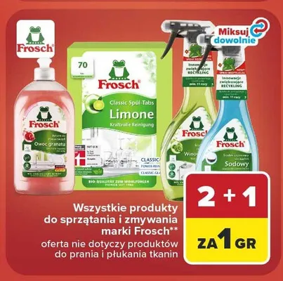 Produkty do sprzątania i zmywania Frosch promocja w Carrefour