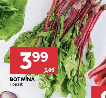 Botwina promocja w Stokrotka