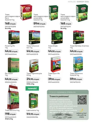 Trawa samozagęszczająca Reno promocja w Castorama