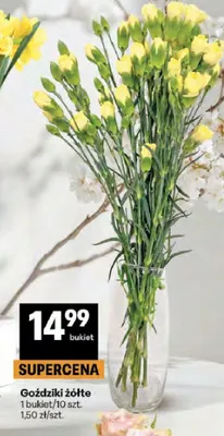 Goździki żółte promocja w Delikatesy Centrum