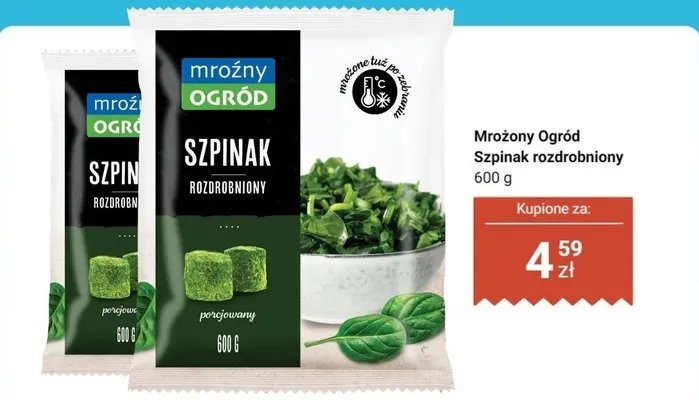Szpinak rozdrobniony promocja w Dino