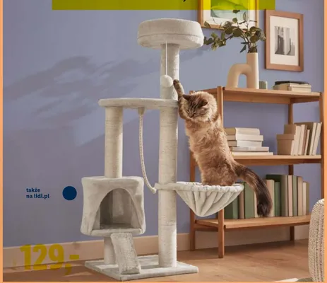Drapak dla kota promocja w Lidl