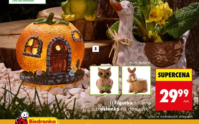 Figurka solarna lub osłonka na doniczkę promocja w Biedronka