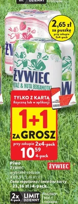 Piwo Żywiec 4-pak 500ml promocja w Intermarche
