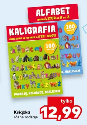 Książka promocja w Kaufland