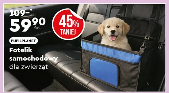 Fotelik samochodowy dla zwierząt promocja w Biedronka Home