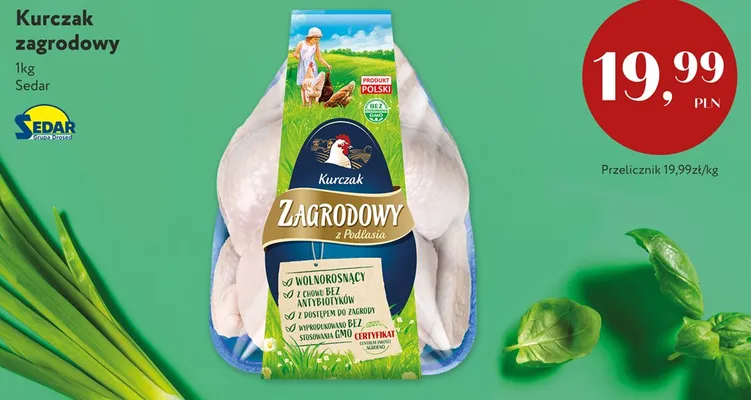 Kurczak zagrodowy Sedar promocja w Market Point