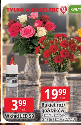 Bukiet goździków 10 szt. 50 cm promocja w Leclerc