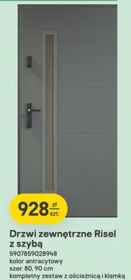Drzwi zewnętrzne Risel z szybą promocja w Castorama