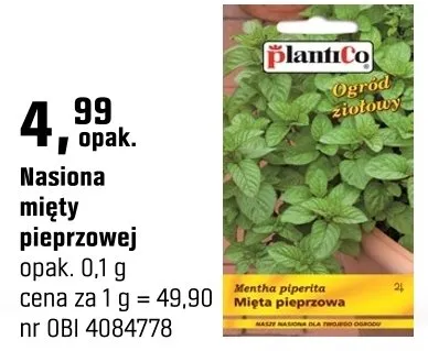 Nasiona mięty pieprzowej promocja w OBI