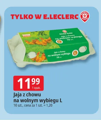 Jaja z chowu na wolnym wybiegu L Polska Kurka promocja w Leclerc