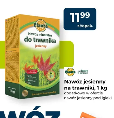 Nawóz jesienny na trawniki Planta promocja w PSB Mrówka