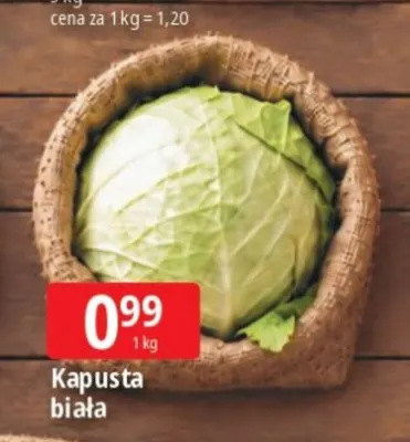 Kapusta biała promocja w Leclerc