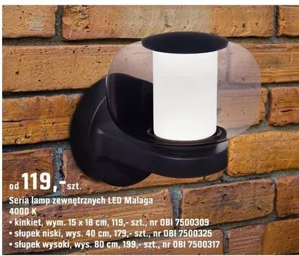 Seria lamp zewnętrznych LED Malaga 4000 K promocja w OBI