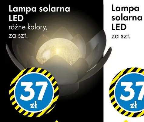 Lampa solarna LED różne kolory promocja w Tedi