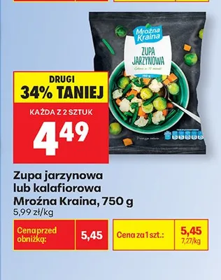 Zupa jarzynowa lub kalafiorowa Mroźna Kraina promocja w Biedronka