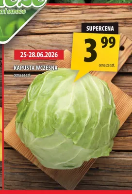 Kapusta wczesna promocja w Arhelan