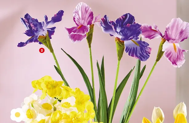 Sztuczne kwiaty irys lub peonia promocja w Biedronka