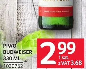 Piwo Budweiser Budvar promocja w Selgros