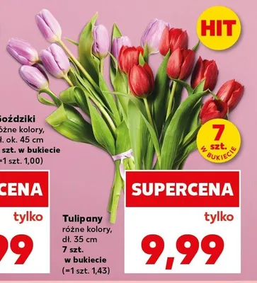 Tulipany dł. 35cm promocja w Kaufland