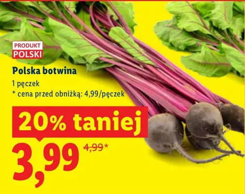 Botwina promocja w Lidl