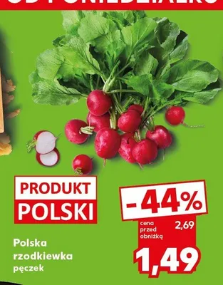 Rzodkiewka polska promocja w Kaufland
