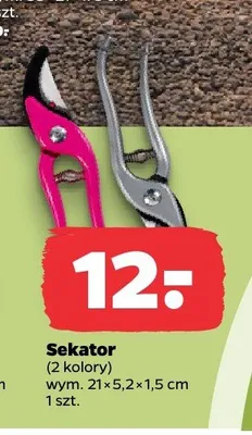 Sekator promocja w Netto