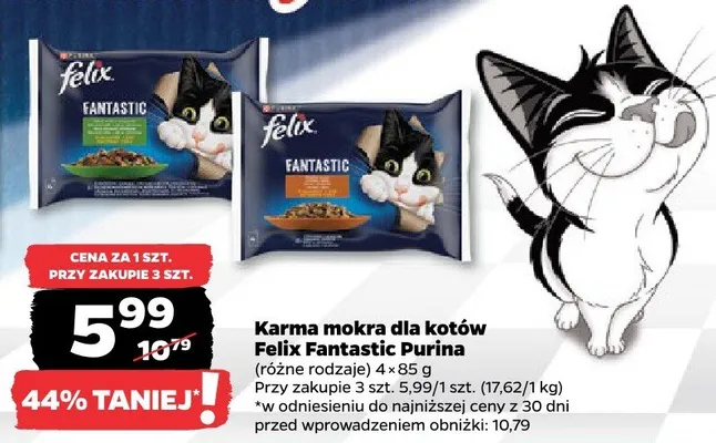 Karma mokra dla kotów Fantastic, różne rodzaje promocja w Netto