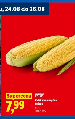 Polska kukurydza świeża 2-pak promocja w Lidl