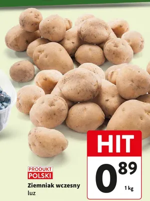 Ziemniak wczesny luz promocja w Intermarche