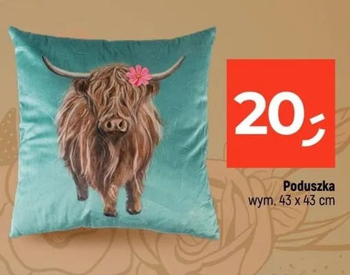 Poduszka 43x43cm promocja w Dealz