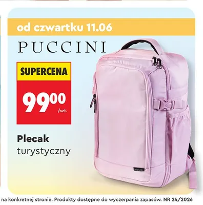 Plecak turystyczny Puccini promocja w Biedronka