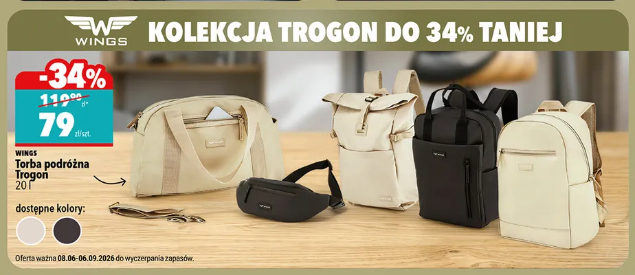 Torba podróżna WINGS Trogon 20 l promocja w Biedronka